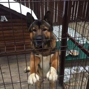 Meet your Posher, Filip